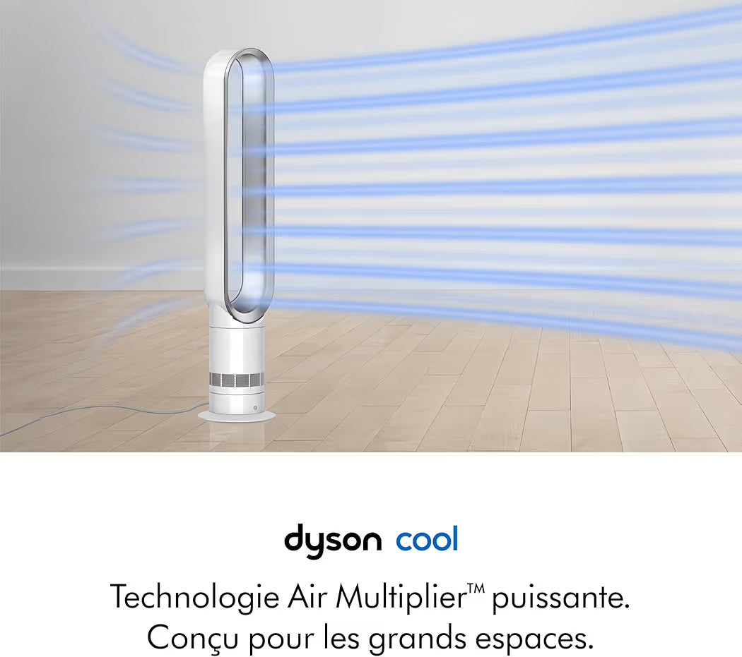 Dyson Cool AM07