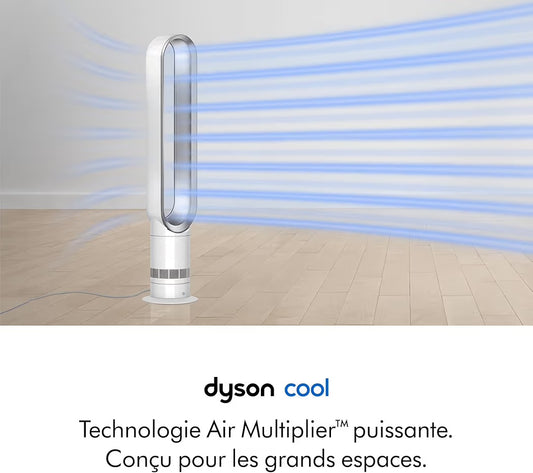 Dyson Cool AM07
